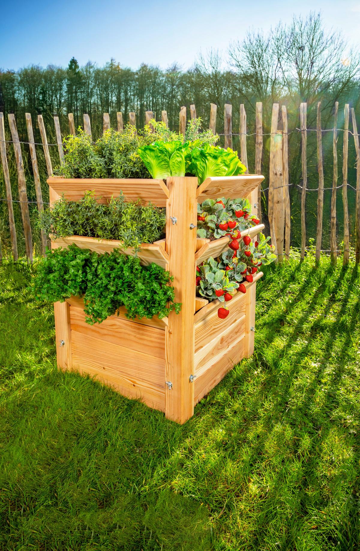 Hochbeet Echtholz Lärche 65x73x65 cm - Lärchefarben, Basics, Holz (65/73/65cm)