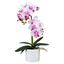 Umelá Rastlina Phalänopsis Ii - lila/biela, Romantický / Vidiecky, kov/plast (45cm) Umelá Rastlina Phalänopsis Ii - lila/biela, Romantický / Vidiecky, kov/plast (45cm)