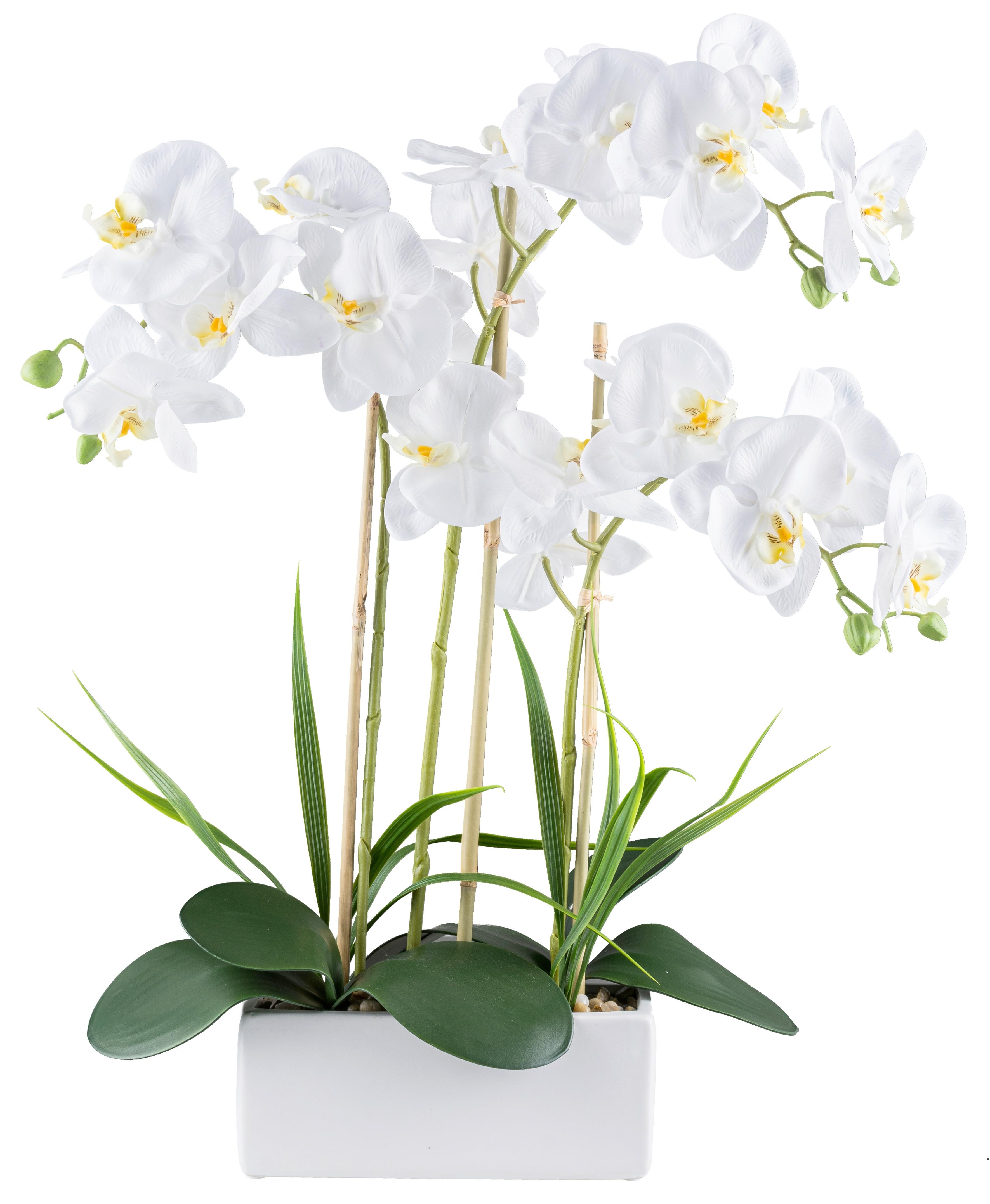 Műnövény Orchidea - fehér/zöld, Basics, műanyag/kerámia (58cm)