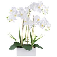 Műnövény Orchidea - fehér/zöld, Basics, műanyag/kerámia (58cm)