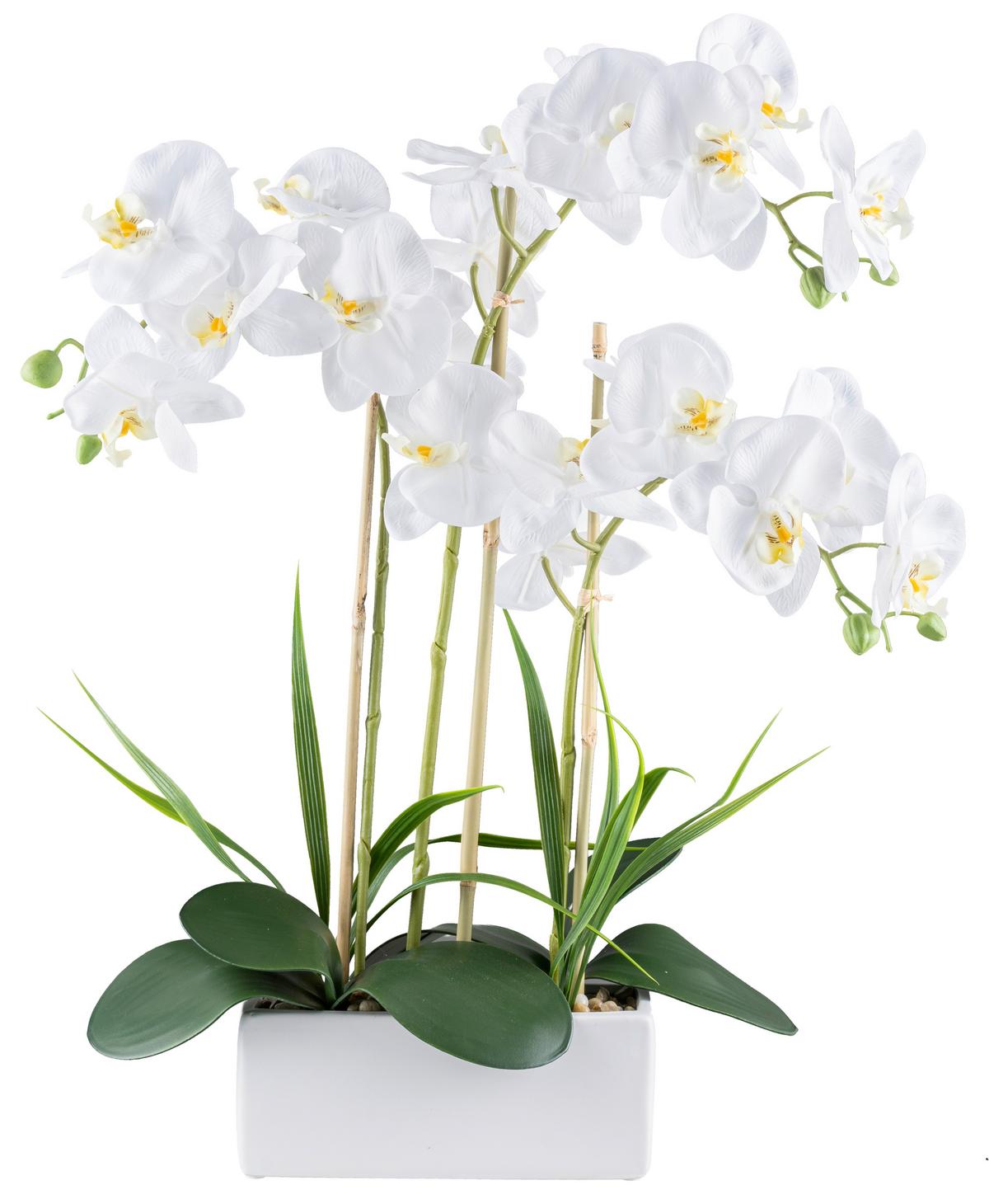Műnövény Orchidea - fehér/zöld, Basics, műanyag/kerámia (58cm)