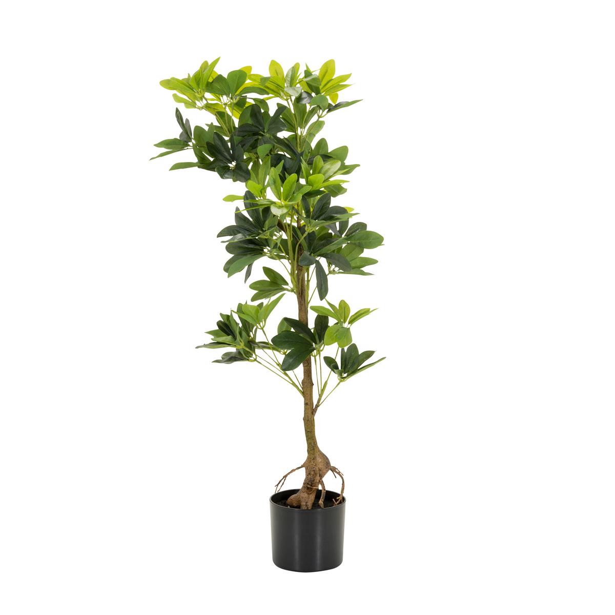 Kunstpflanze Schefflera - Schwarz/Braun, Basics, Kunststoff/Textil (38/100/30cm) - MID.YOU