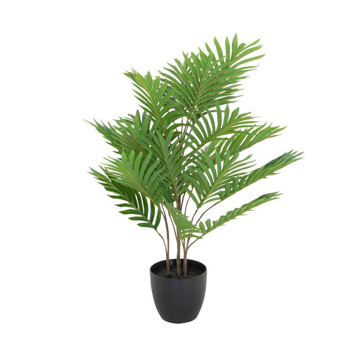 Kunstpflanze Areca - Schwarz/Braun, Basics, Kunststoff/Textil (60/70/60cm) - MID.YOU