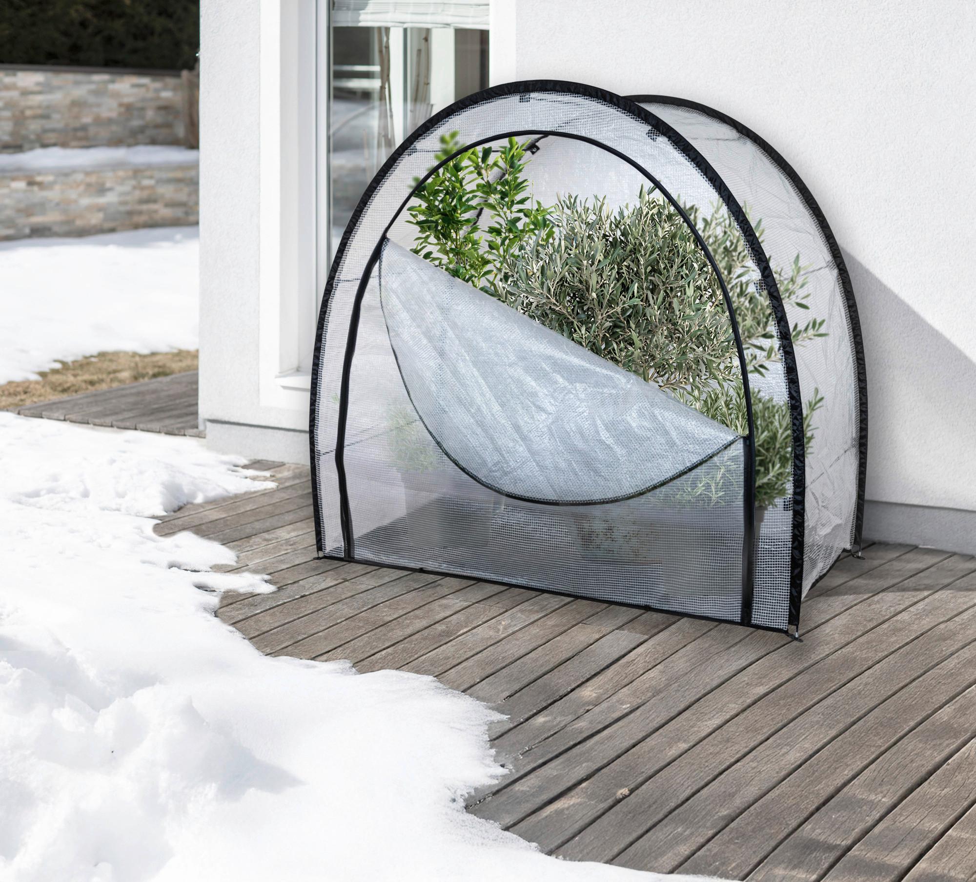 Winterschutzzelt Qinog, wetterbeständig - Transparent, Basics, Kunststoff (170/180/80cm) - Windhager
