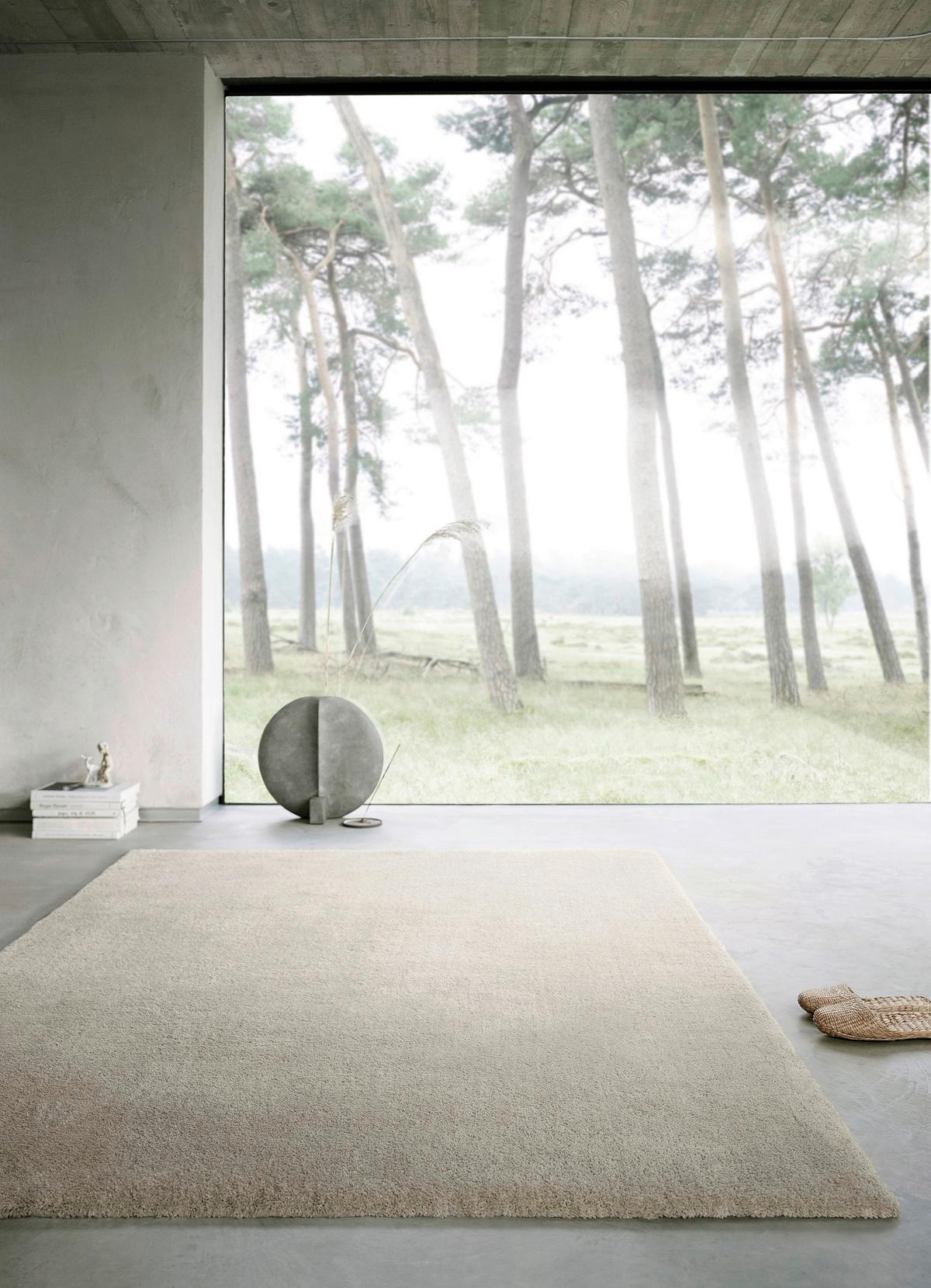 Hochflorteppich Emilia - Beige, Design, Textil (120/170cm) - WECON HOME BASIC