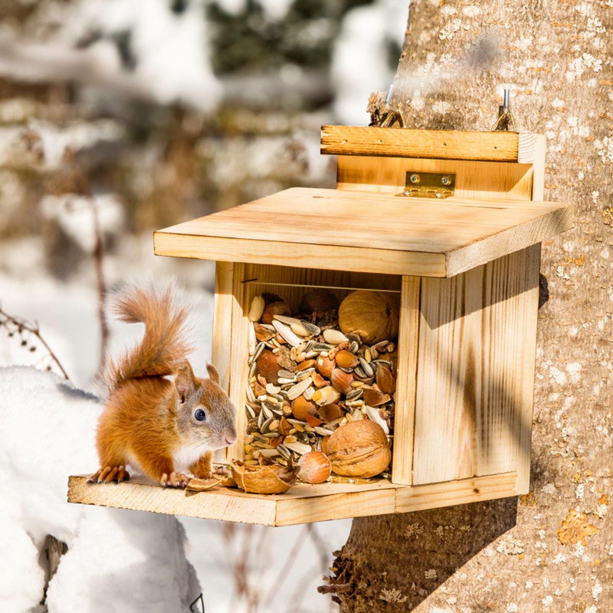 Vogelhaus Mit Klappbaren Boden - Naturfarben, Basics, Holz (22/17/18cm)