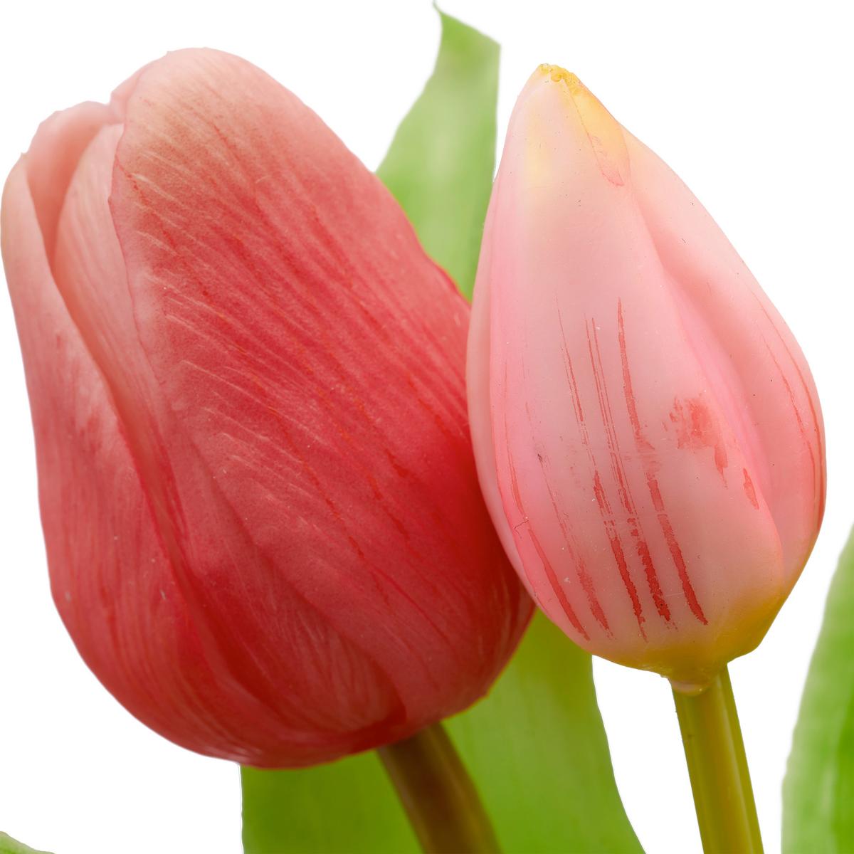 Tulpe Tulpenbund - Rosa/Grün, Basics, Kunststoff (31cm)