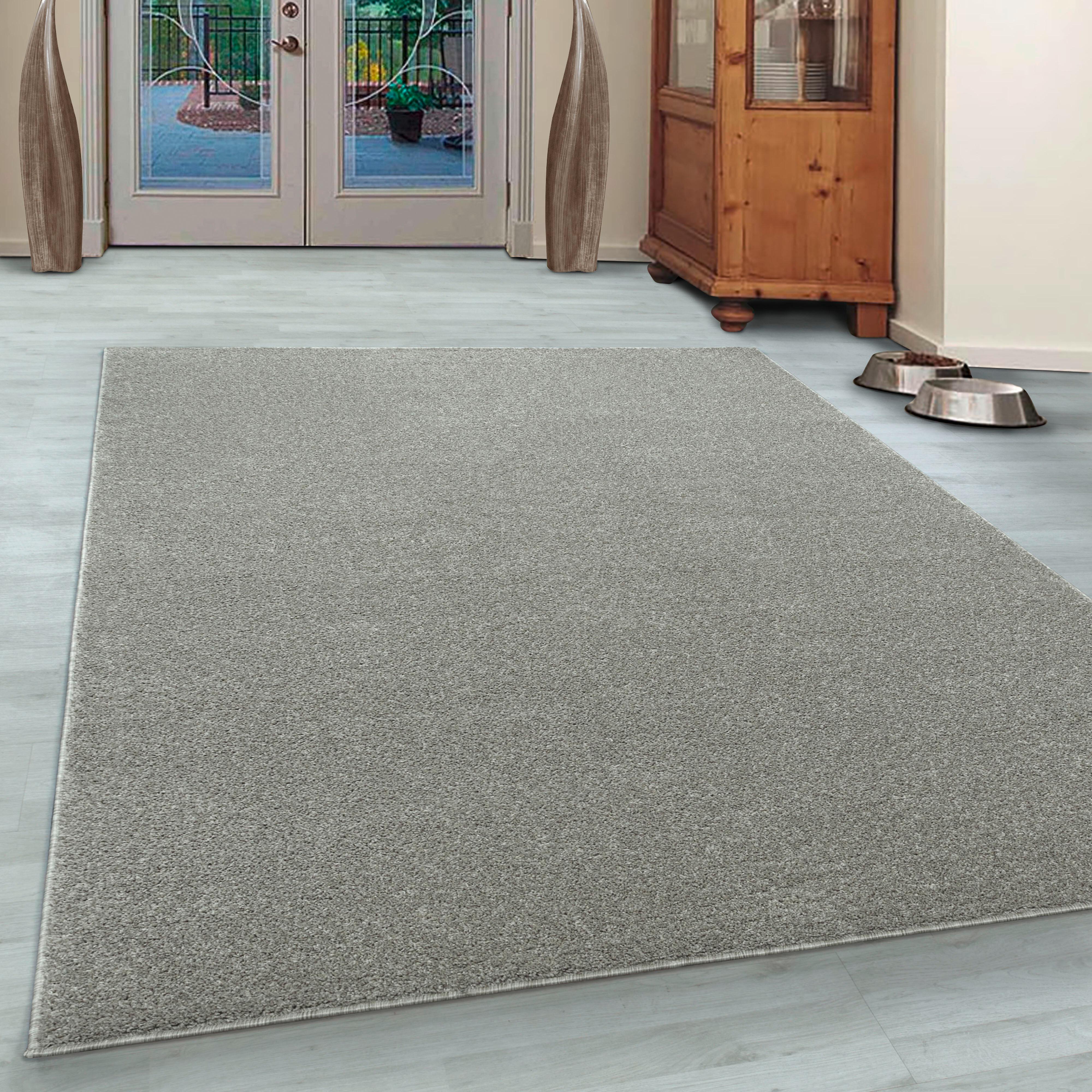 Webteppich Ata - Greige, Basics, Textil (280/370cm) - Novel