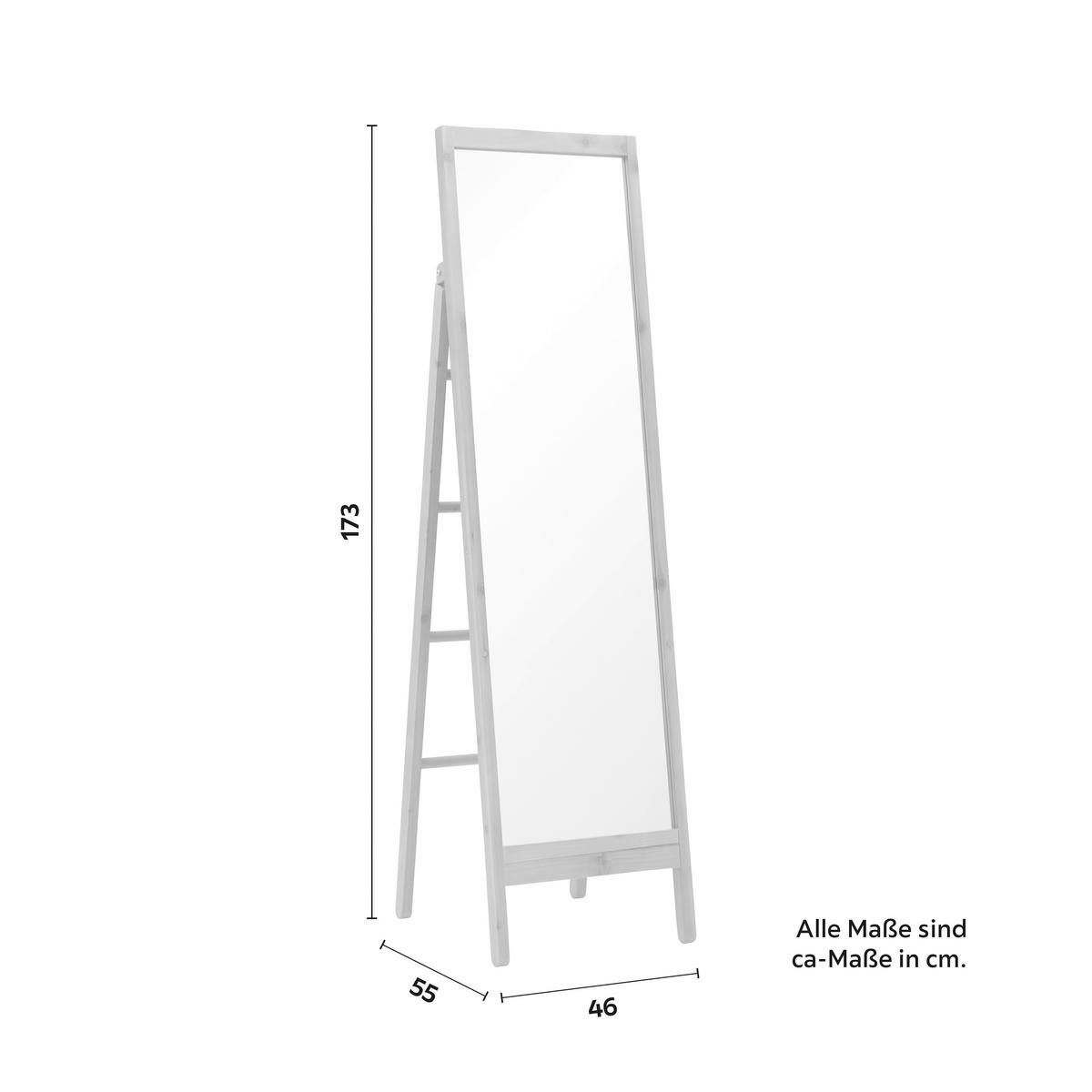 Zrcadlo MILIAS - přírodní barvy, Moderní, dřevo/sklo (46/173/55cm) - P & B