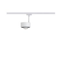 Schienensystem Strahler 95395 In Schwarz/weiß, Rund - Schwarz/Weiß, Basics, Metall (9,8cm) - Paulmann