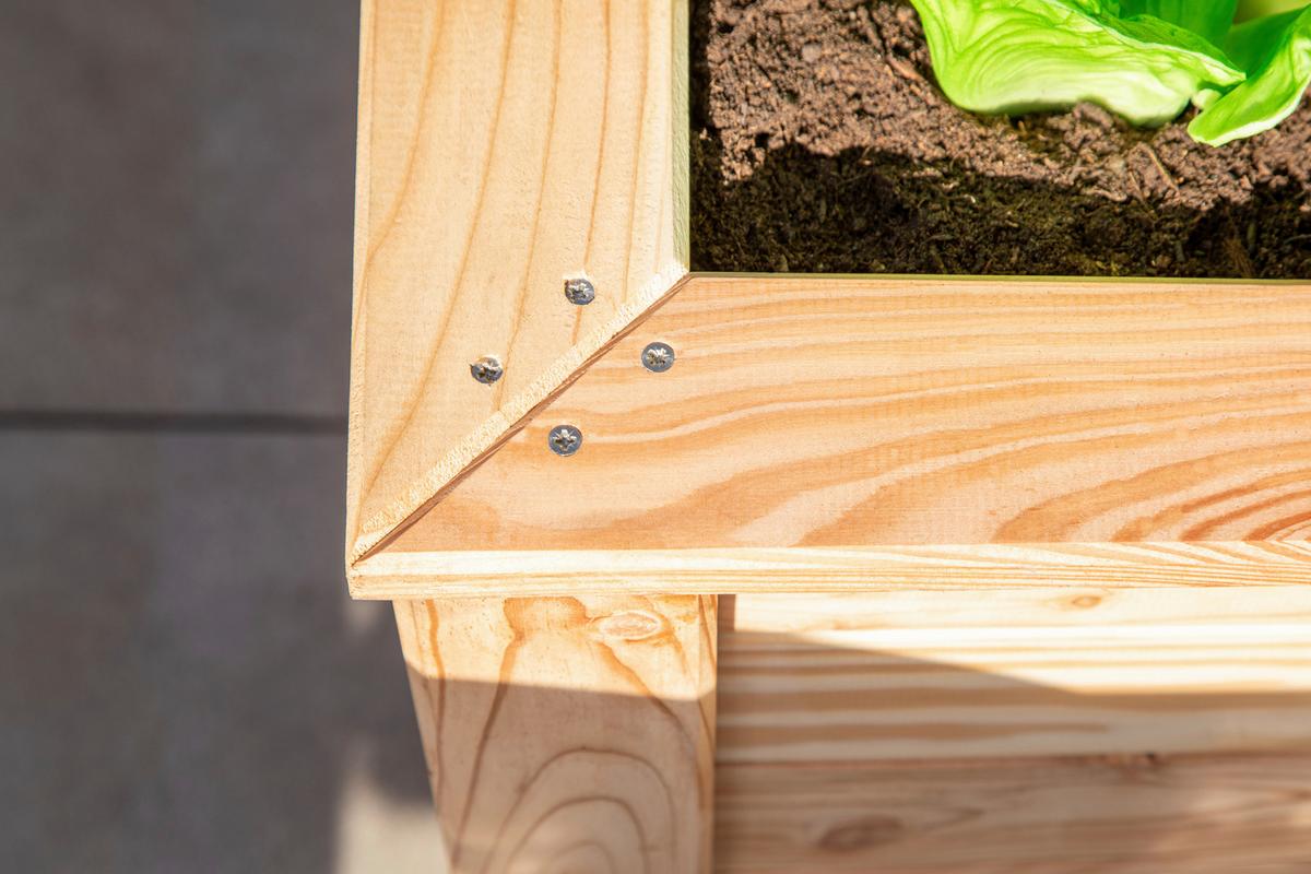 Hochbeet Hochbeet Lärche 100 - Lärchefarben, Basics, Holz (65/66/100cm)