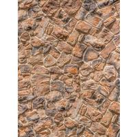 Vliestapete Muro - Taupe/Braun, Natur (200/260cm)