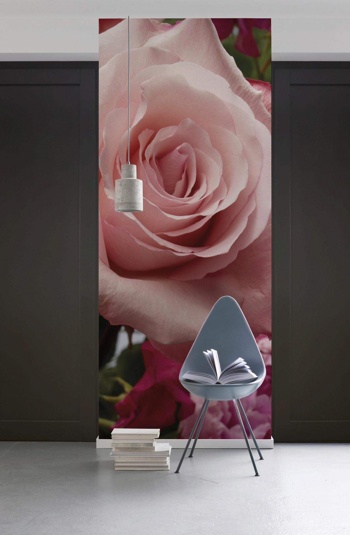 Vliestapete Rosenduft - Rosa, Basics (100/280cm) - Komar