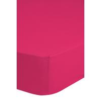 Spannleintuch Jersey Pink 200x200 Cm Baumwolle - Pink, Basics, Textil (200/220cm) - MID.YOU