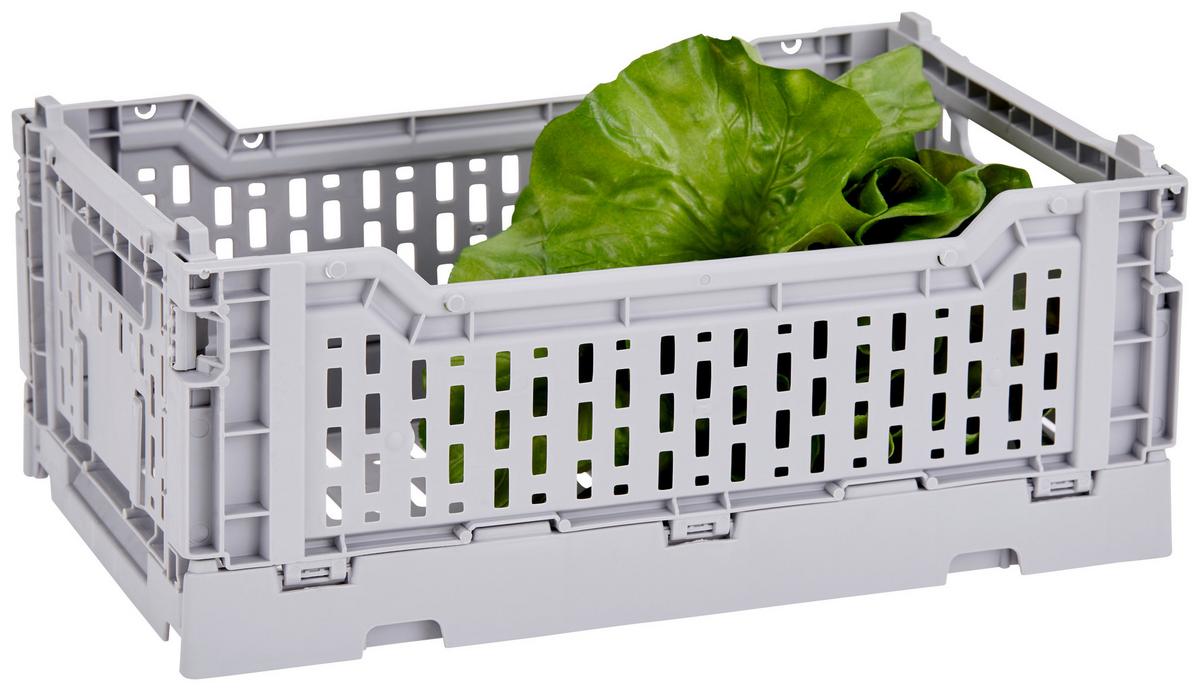 Faltbox Chaline Kunststoff 27x17x10,5 Cm - Blau/Weiß, Basics, Kunststoff (27/10,5/17cm) - Homezone