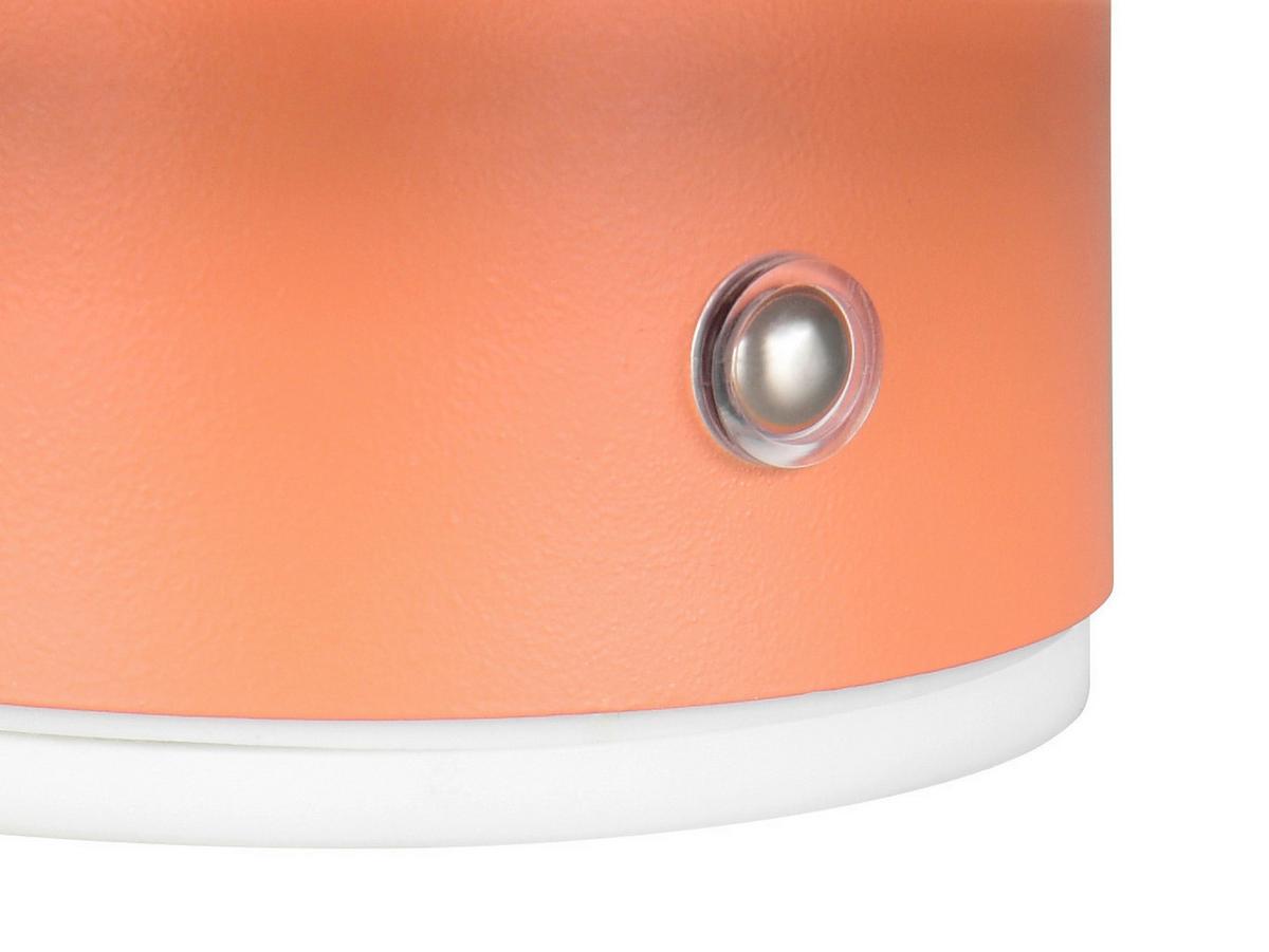 LED-Wandleuchte Davey Aprikose D: 15,5 cm - Aprikose, Design, Metall (15,5/8,4cm)