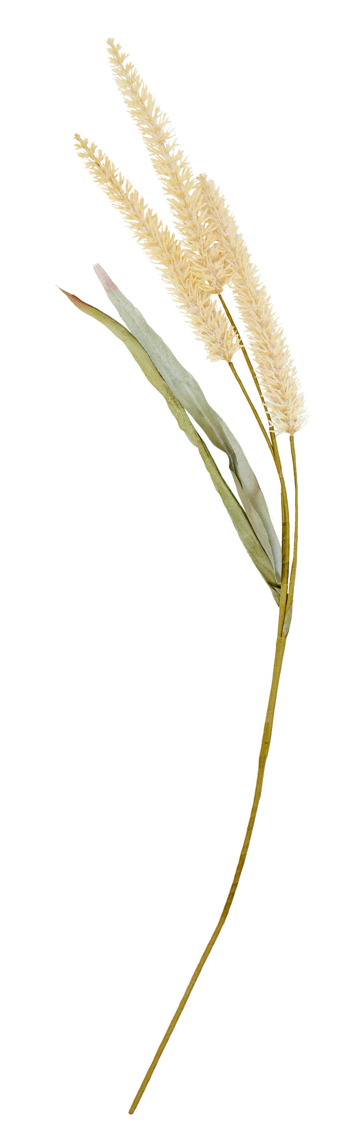 Kunstpflanze Trockenblume L: 90 cm, Eboni - Multicolor, Basics, Papier/Kunststoff (90cm) - Luca Bessoni