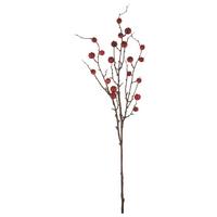 Umělá rostlina HAGENBUTTENZWEIG I - hnědá/červená, Basics, plast (86cm) - Mömax