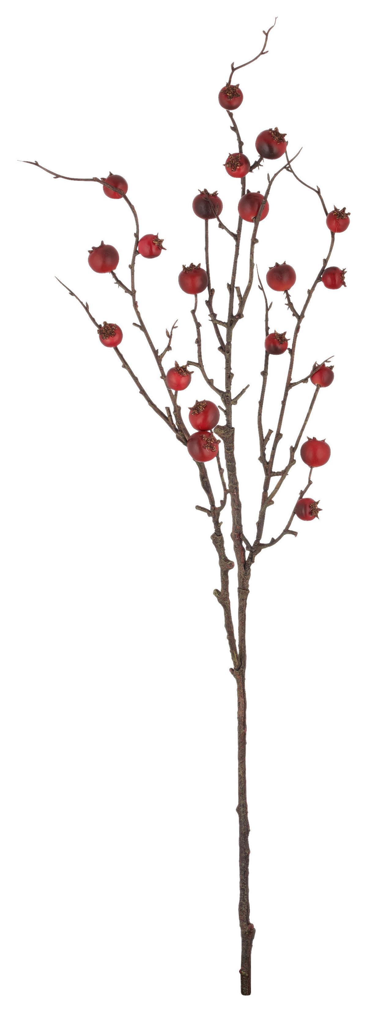 Umělá rostlina HAGENBUTTENZWEIG I - hnědá/červená, Basics, plast (86cm) - Mömax
