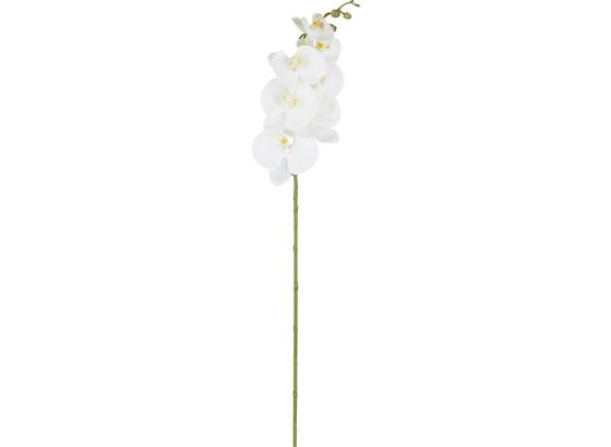 Umelá Rastlina Sissi - biela/zelená, kov/plast (87cm) Umelá Rastlina Sissi - biela/zelená, kov/plast (87cm)