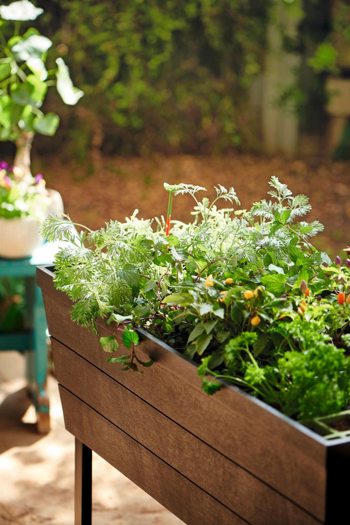 Virágtartó Állvány Urban Bloomer - barna (82/78/37.3cm)