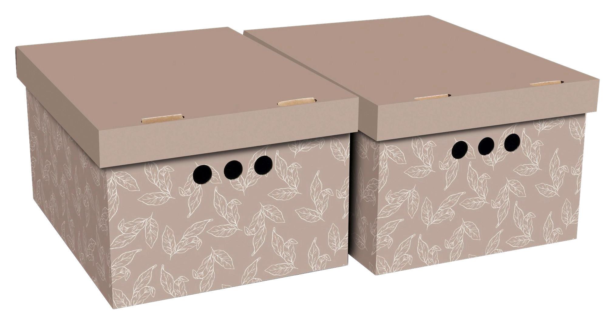 Box S Víkem Jimmy, 15l - bílá/růžová, karton (35,5/18,5/26,4cm) - Modern Living