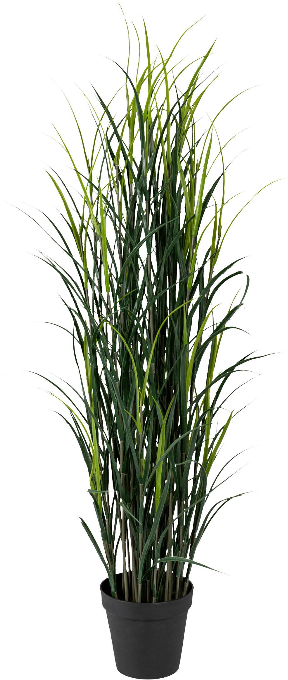 Kunstpflanze Gräser Grün/Schwarz, 150 cm - Schwarz/Grün, Design, Kunststoff (150cm) - P & B