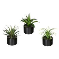 Kunstpflanze Sukkulenten Grün/schwarz, 15 Cm - Schwarz/Grün, Design, Keramik/Kunststoff (15cm) - P & B