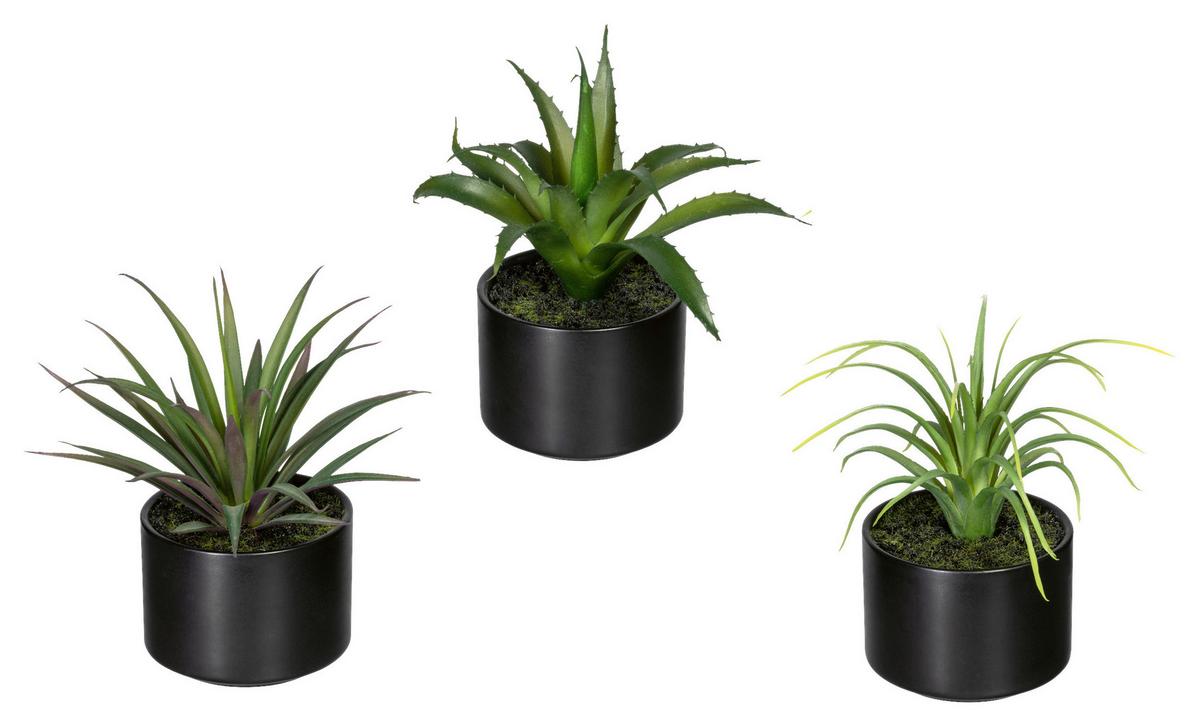 Kunstpflanze Sukkulenten Grün/schwarz, 15 Cm - Schwarz/Grün, Design, Keramik/Kunststoff (15cm) - P & B