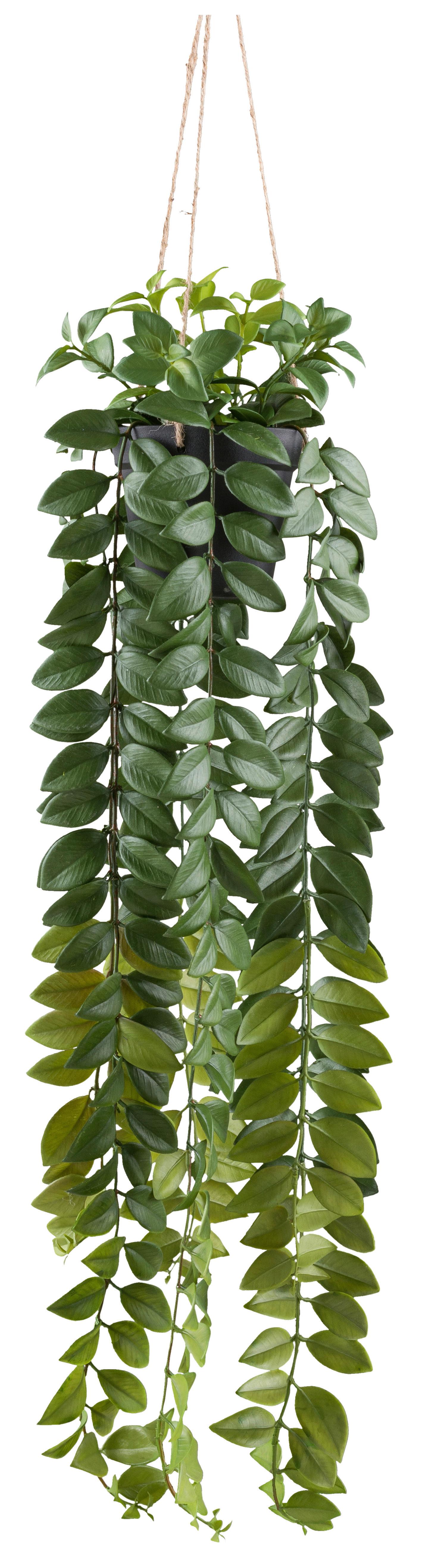 Kunstpflanze Columnea II Grün - čierna/zelená, Konventionell, plast (85cm) - Mömax