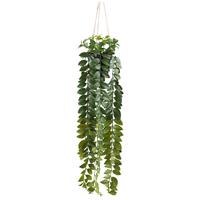 Kunstpflanze Columnea II Grün - čierna/zelená, Konventionell, plast (85cm) - Mömax