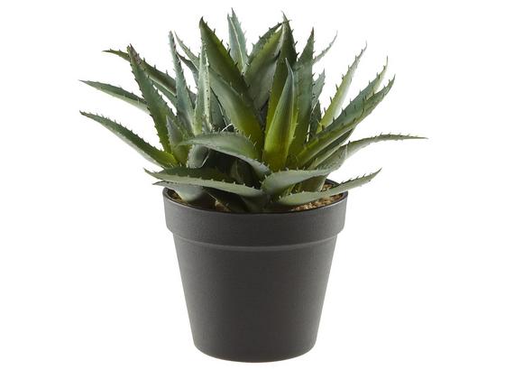 Rostlina Umělá Aloe - zelená, Basics, umělá hmota (23cm) Rostlina Umělá Aloe - zelená, Basics, umělá hmota (23cm)