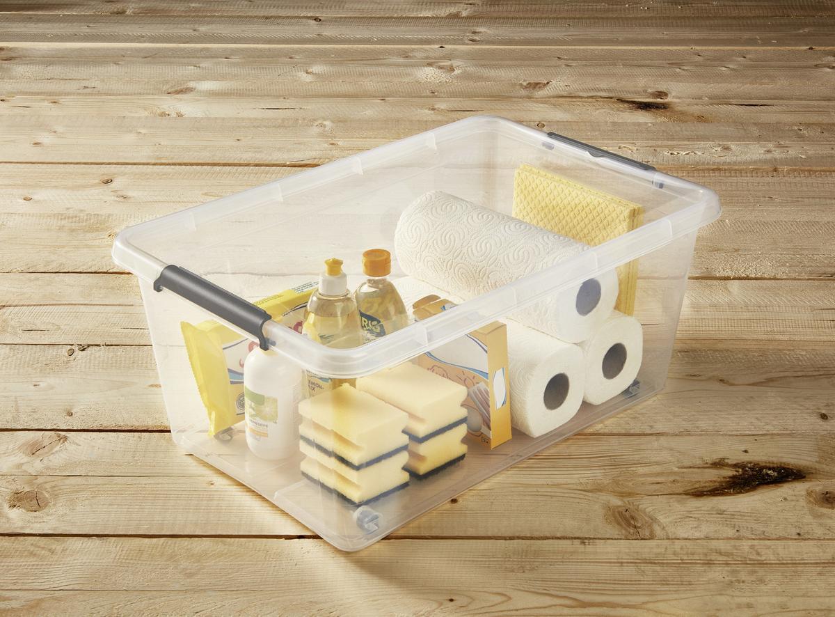 Doboz Tetővel Lars - áttetsző, Basics, műanyag (58/39/25cm) - Homezone