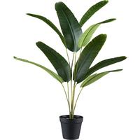Kunstpflanze Bananenpflanze H: 65 - Schwarz/Braun, Design, Kunststoff (65cm) - P & B