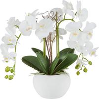 Phalänopsis Kunstpflanze - Weiß/Grün, Basics, Keramik/Kunststoff (55cm)