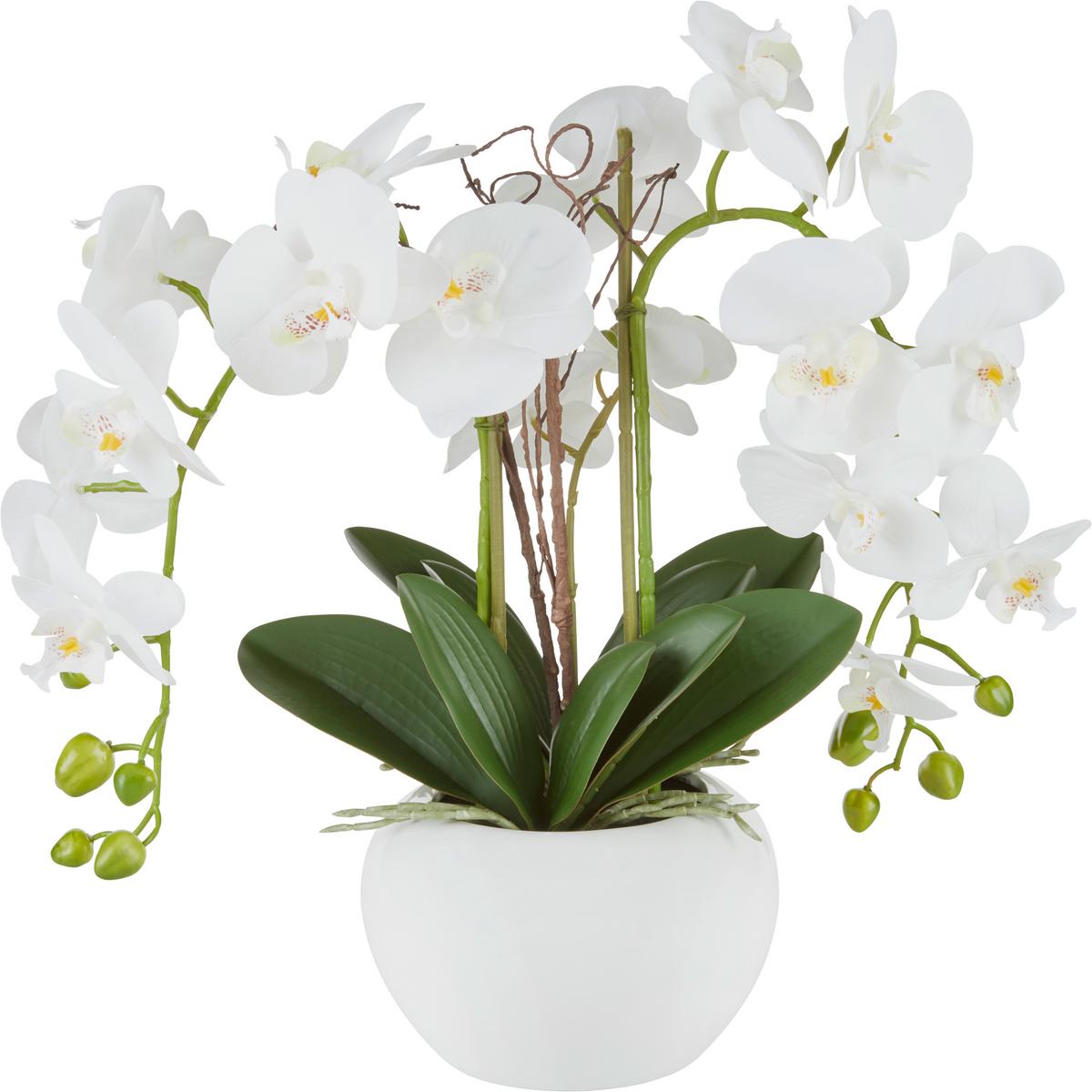 Phalänopsis Kunstpflanze - Weiß/Grün, Basics, Keramik/Kunststoff (55cm)