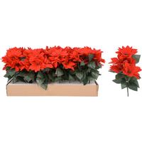 Weihnachtsstern 21x14x31 cm - Dunkelgrün/Rot, Basics, Kunststoff (21.0/14.0/31.0cm)
