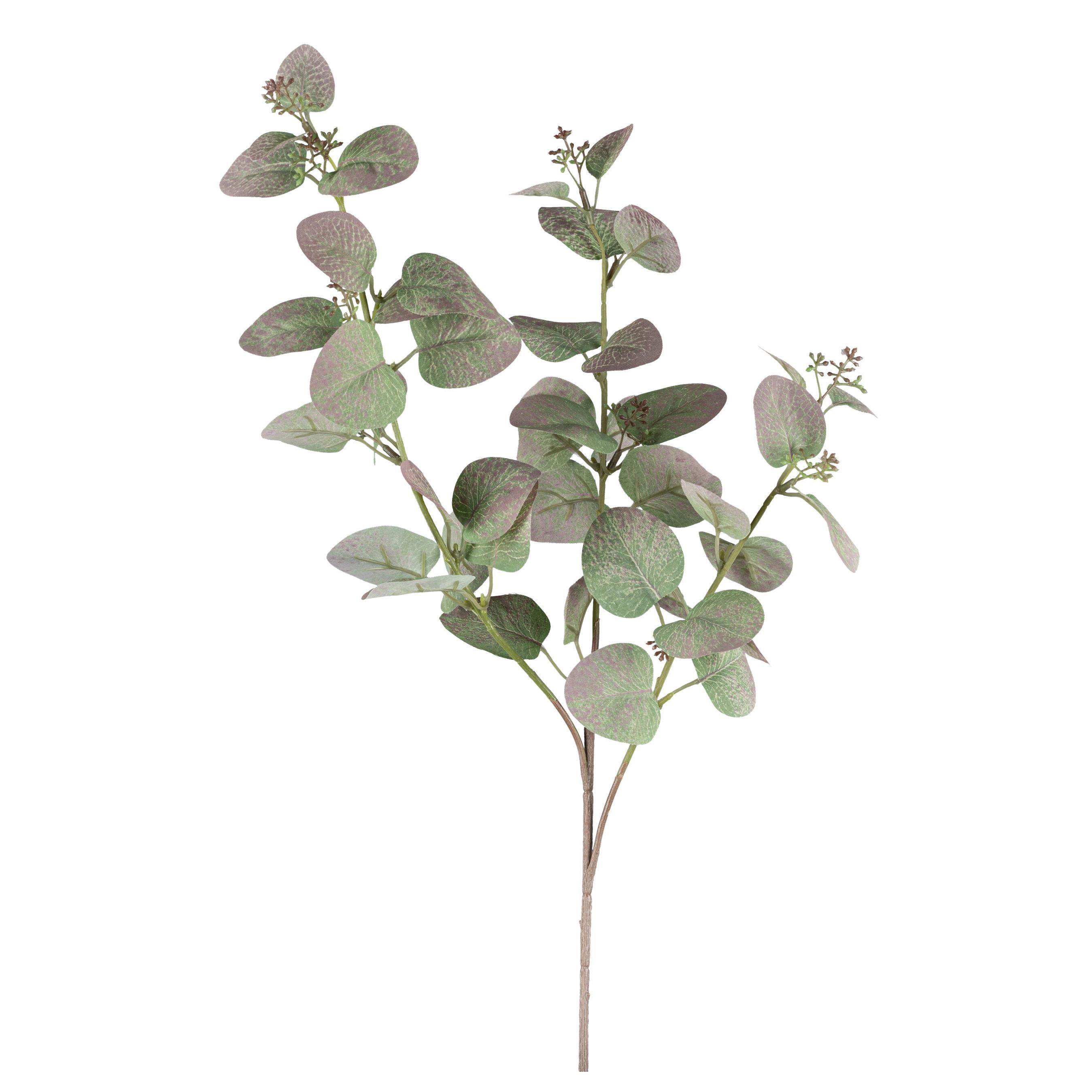 Umělá rostlina Eukalyptus, 72cm - zelená/hnědá, Basics, plast (72cm)
