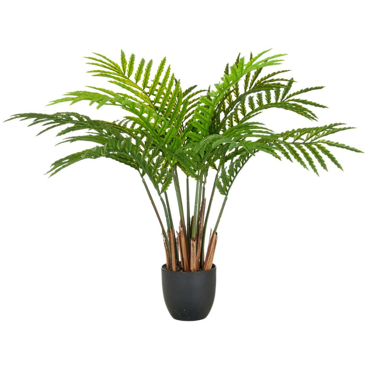 Kunstpflanze Sumpf-Lappenfarn Kunststoff, Grün, H: 80 cm - Schwarz/Braun, Basics, Kunststoff (80cm) - P & B