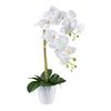 Kunstpflanze Orchideen Grün/weiß, 56 Cm - Weiß/Grün, Design, Kunststoff (56cm) - P & B