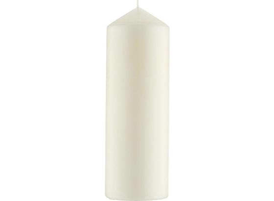 Oválna Sviečka Eva - šampanské (7/20cm) - Mömax modern living Oválna Sviečka Eva - šampanské (7/20cm) - Mömax modern living