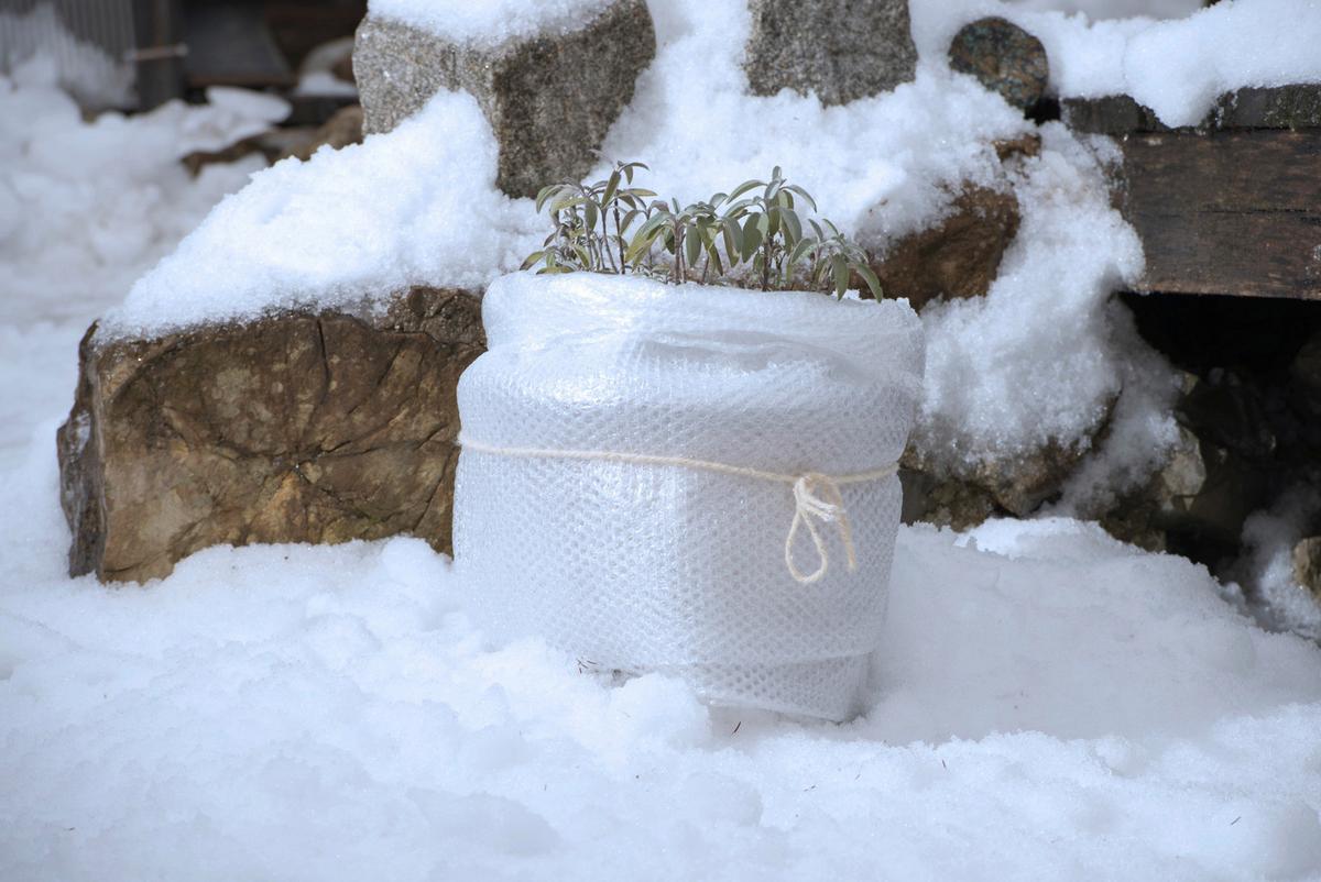 Winter-kälteschutzfolie, 500x100cm, Witterungsbeständig - Transparent, Basics, Kunststoff (100/500cm) - Windhager