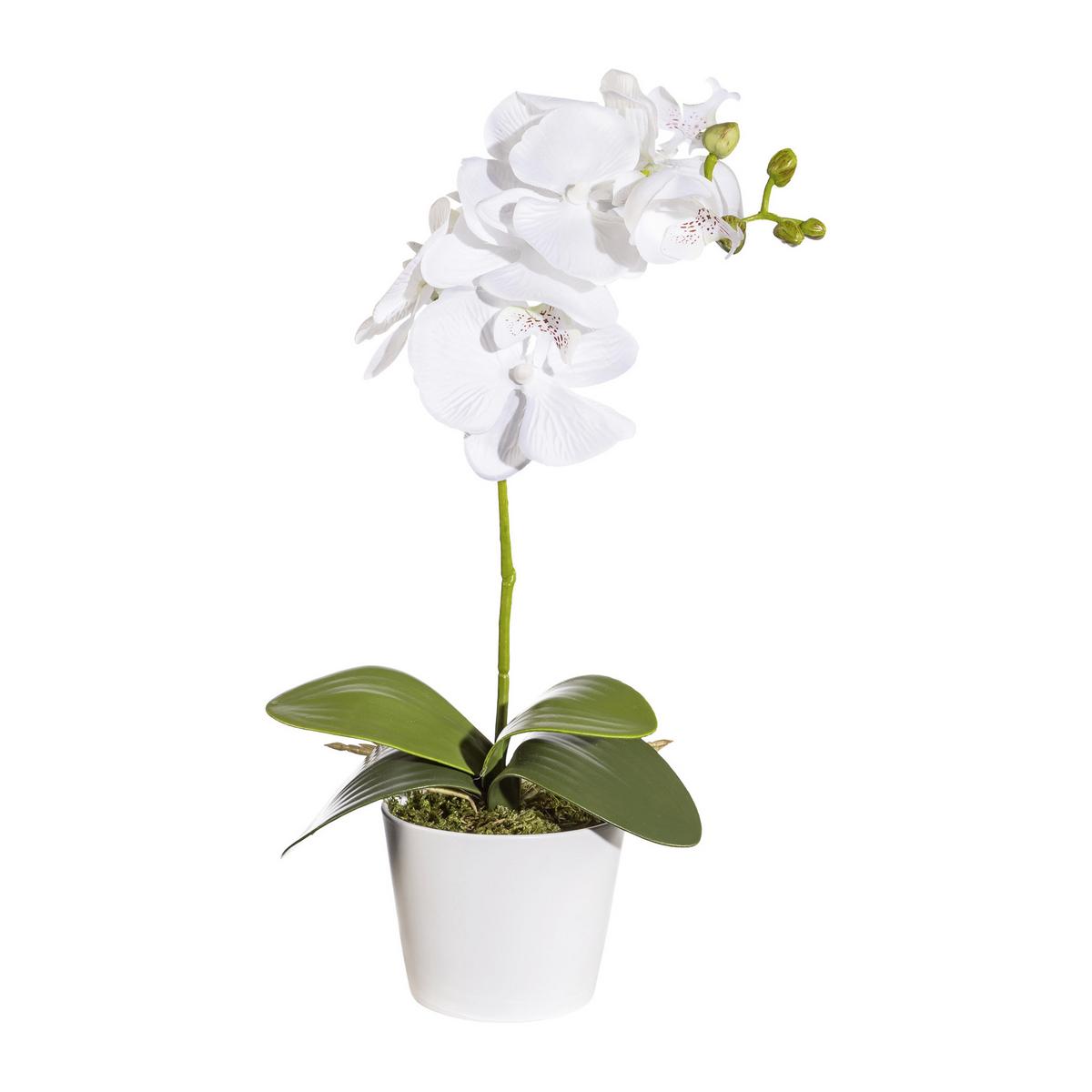 Kunstpflanze Orchidee Bunt H: 40 cm Im Topf, Sofie - Lila/Weiß, KONVENTIONELL, Keramik/Kunststoff (40cm)