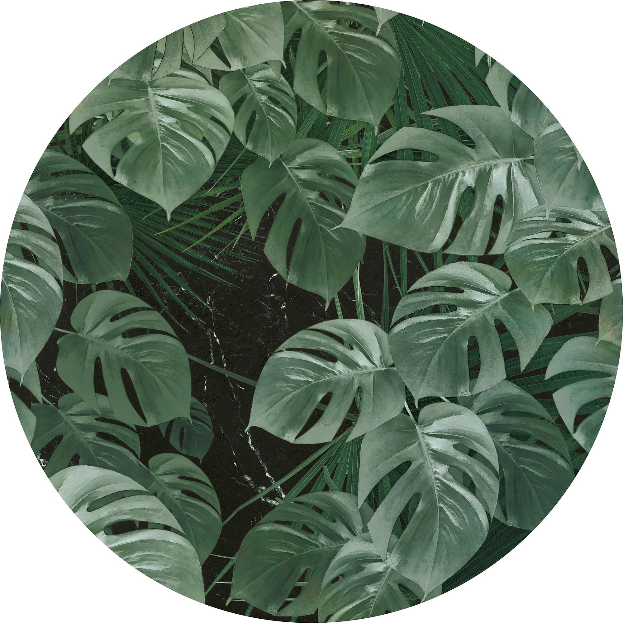 Fototapete Novel Monstera - Grün, Trend, Papier (125cm) - Komar