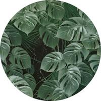 Fototapete Novel Monstera - Grün, Trend, Papier (125cm) - Komar