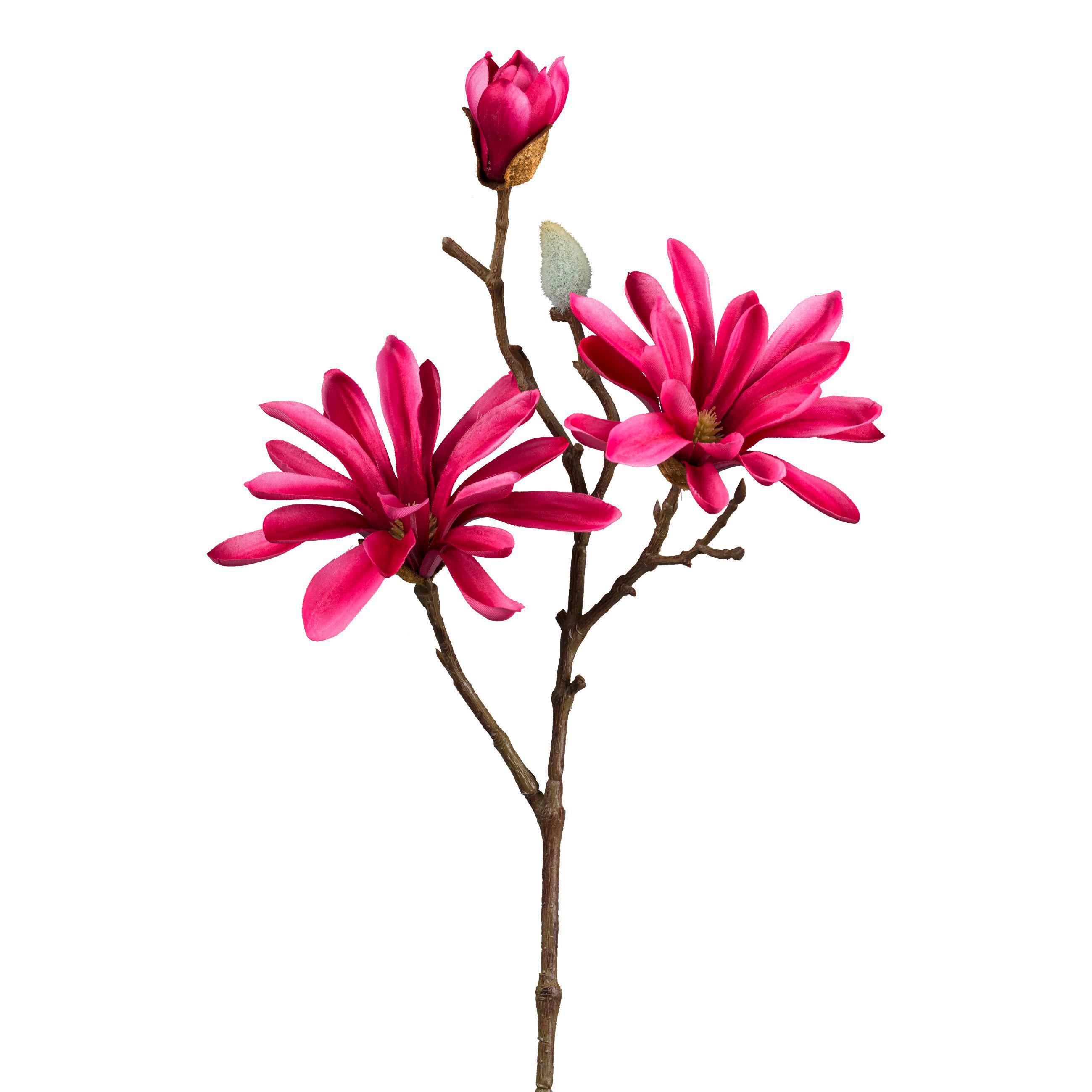 Levně Umélá Rostlina Magnolie, V: 45cm