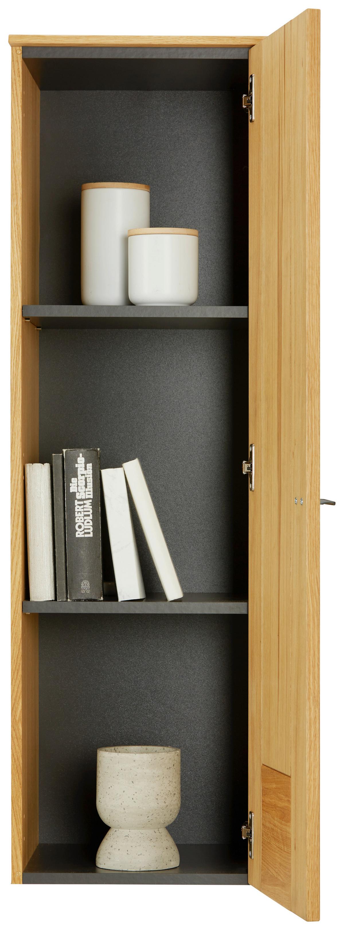 ZÁVĚSNÁ SKŘÍŇKA STOCKHOLM - barvy dubu/černá, Moderní, kov/kompozitní dřevo (37/119/38cm) - Premium Living