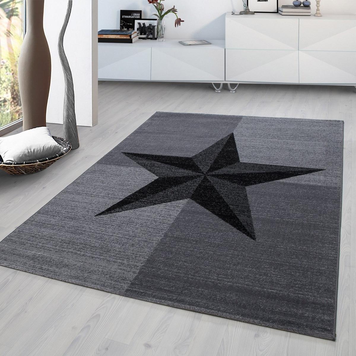 Hochflor Teppich Grau Plus 200x290 cm - Grau, Trend, Textil (200/290cm) - Novel