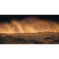 Vliestapete Sh006-Vd1 Golden Wave - Natur (200/100cm)