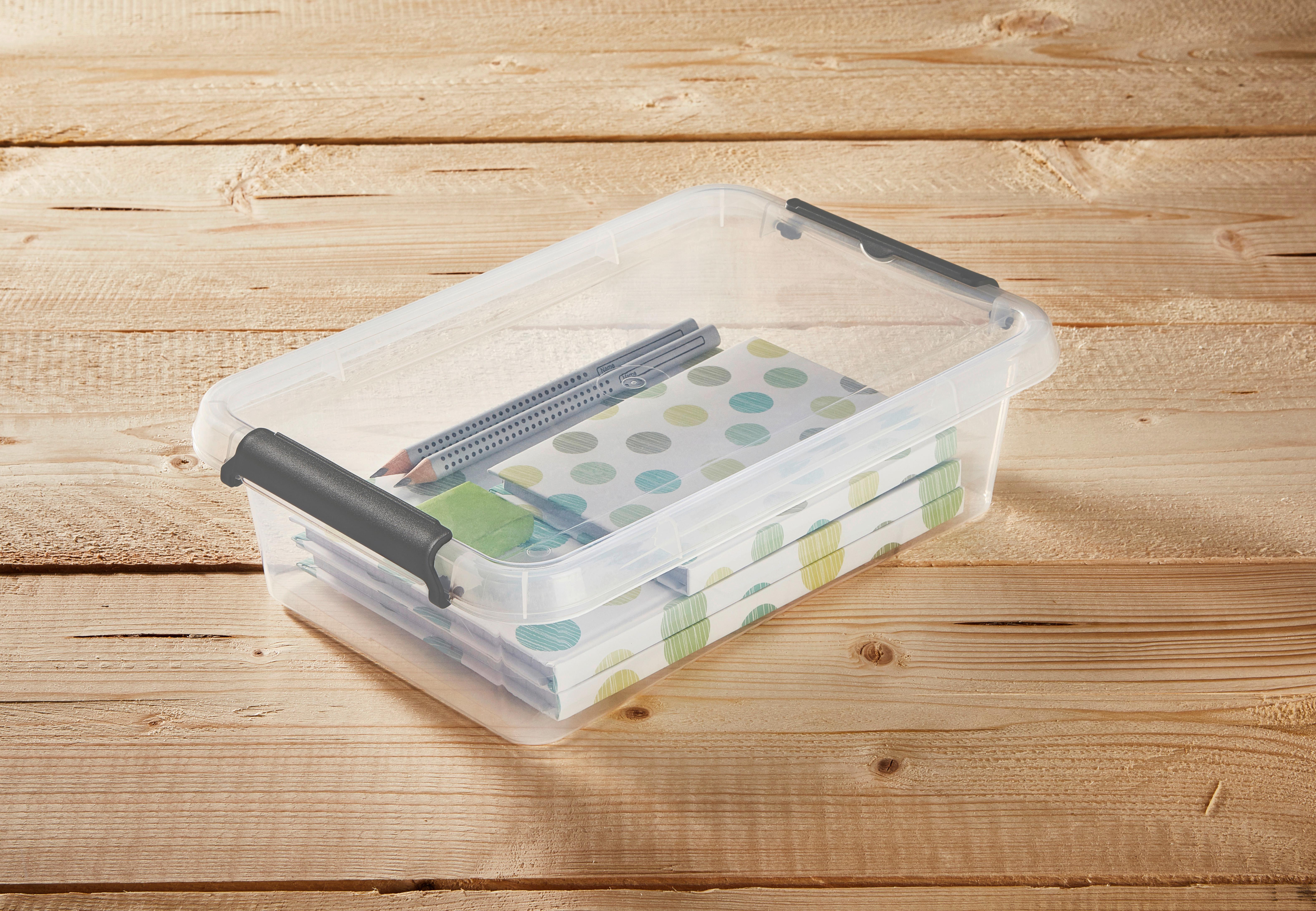 Aufbewahrungsbox mit Deckel Mila 3,1l, 29,5x20x8,5 cm - Transparent/Schwarz, KONVENTIONELL, Kunststoff (29,5/20/8,5cm) - Homezone